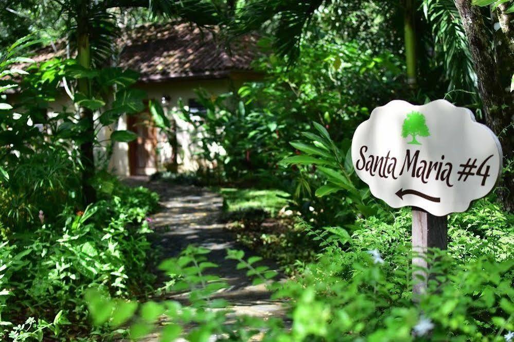 Mystic River Resort San Ignacio Exteriér fotografie